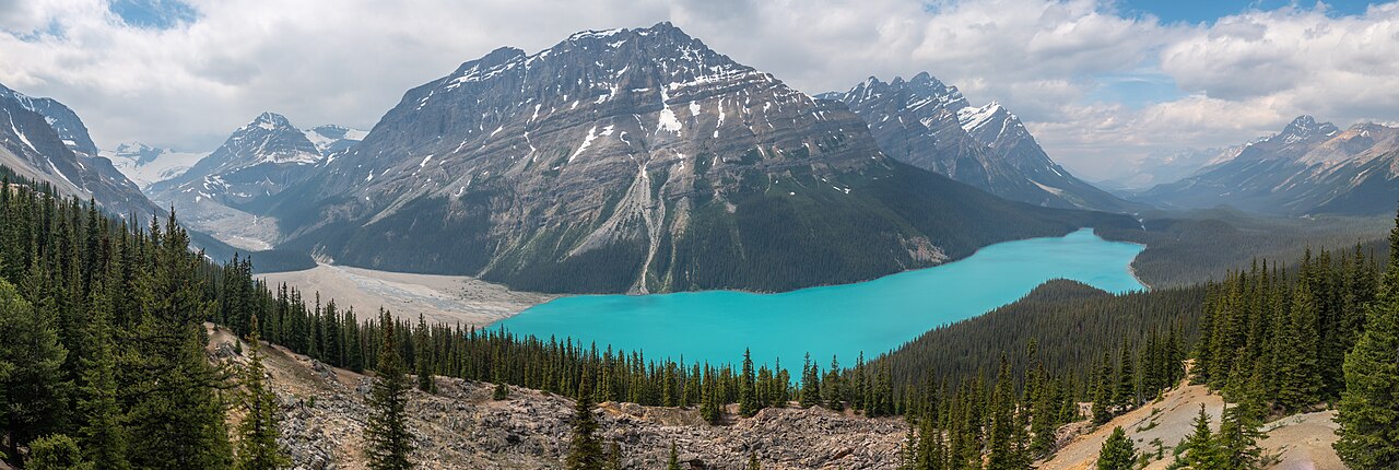 Peyto Lake Viewpoint (Icefields Parkway)